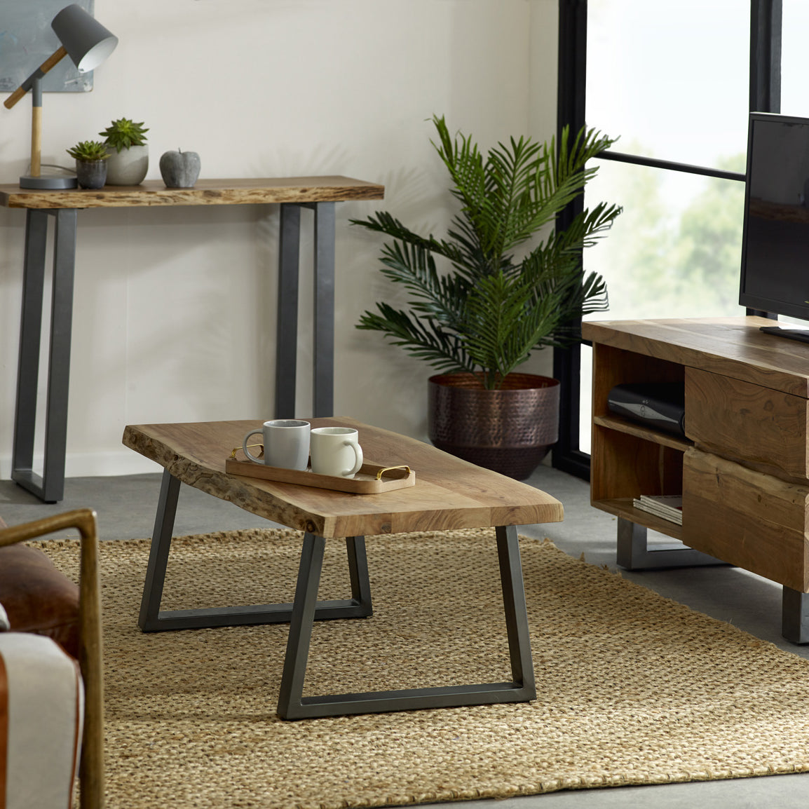 Alora Live Edge 2 Door Small Tv