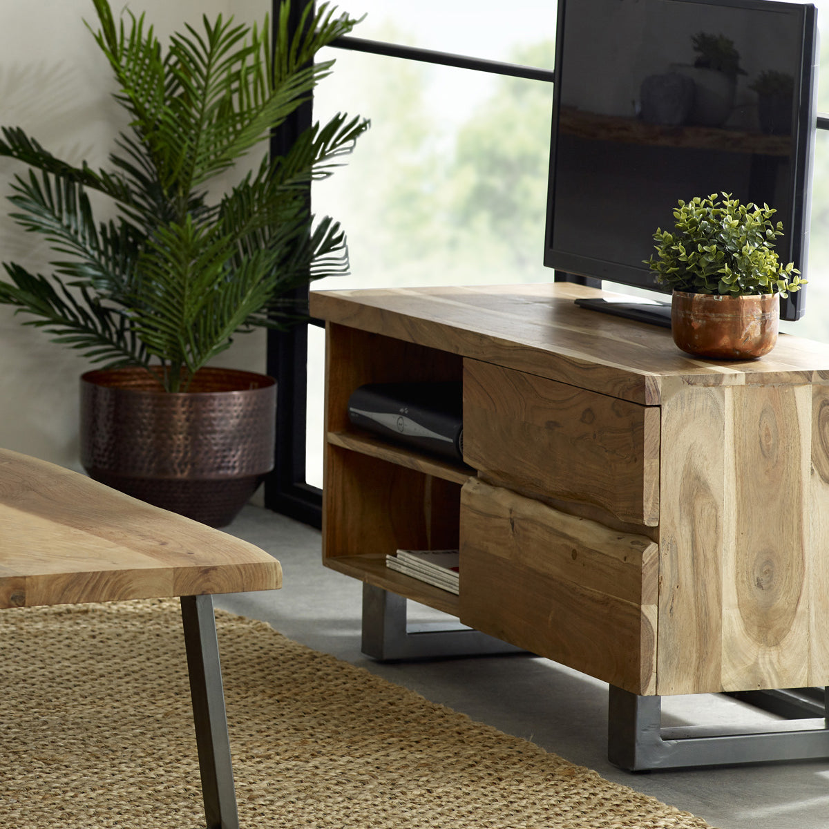 Alora Live Edge 2 Door Small Tv