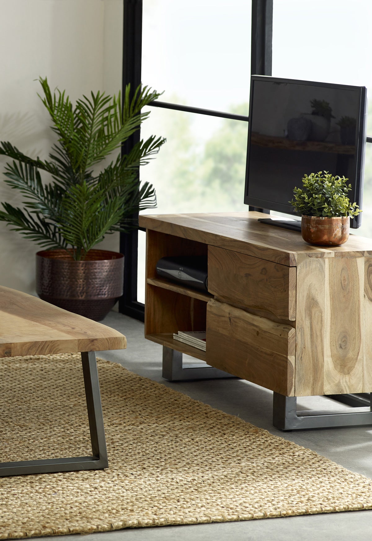 Alora Live Edge 2 Door Small Tv