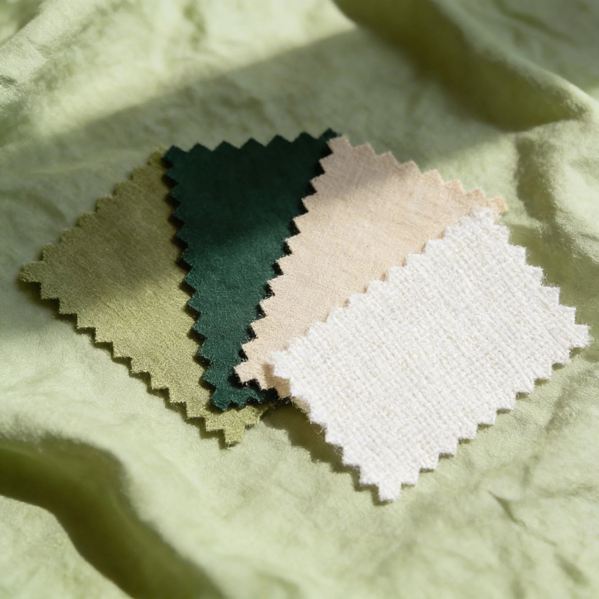 Choose your swatch pack Free